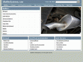 mufflersystems.com