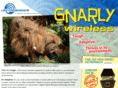 gnarlywireless.com