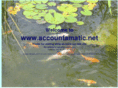 accountamatic.net