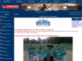wellwoodbaseball.org