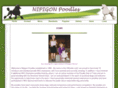 nipigonpoodles.net