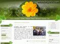 mixochipala.com