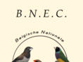 bnec.info