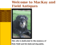 mackayandfieldantiques.com