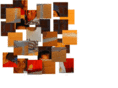 mysqlwizard.com
