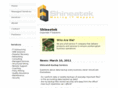 shineatek.com