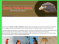harriertrails-safaris.net