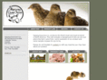 ngamefarm.com