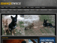 zdanciewicz.com