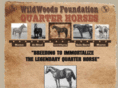 wildwoodsquarterhorses.com