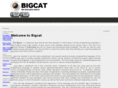 bigcatjava.com