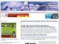 googlesearchengineoptimizationtips.com