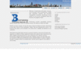 boomeranginfoservices.com