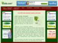 cobbsupport.com