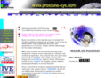 prostone-sys.com