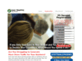 referralbootcamps.com