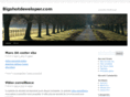 bigshotdeveloper.com