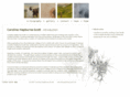 carolinehepburne-scott.co.uk