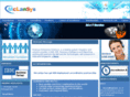 maximoimplementationconsultant.com