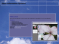 soloninformationsystems.com