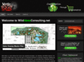wildideasconsulting.net