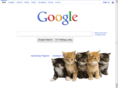 googlingwithkittens.com