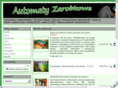 automatyzarobkowe.net