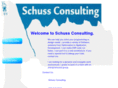 schussconsulting.com