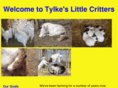tylkeslittlecritters.ca