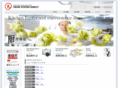 fsd-net.com