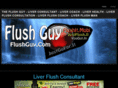 theflushguy.com