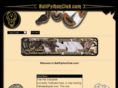 ballpythonclub.com