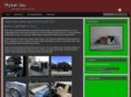 mykeljay.de