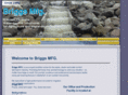 briggsmfg.com