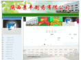 jingfeng.cn
