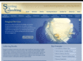 soyringconsulting.com