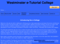 westminsteretutorial.net