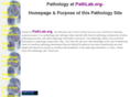 pathlabs.info