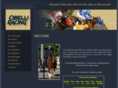 cibelliracing.com