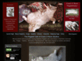 crackonoonragdolls.com