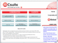 ib-csuite.com