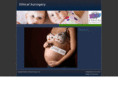 ethicalsurrogacy.com
