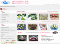 hzywedding.com