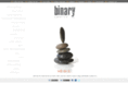 binaryinfotech.co.in