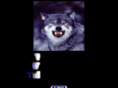 wolftrucking.com