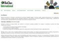 biochar-international.com