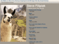 stevefilipiak.com