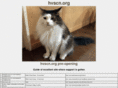 hvscn.org