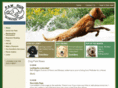 pawrun.com