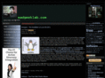 madgeeklab.com